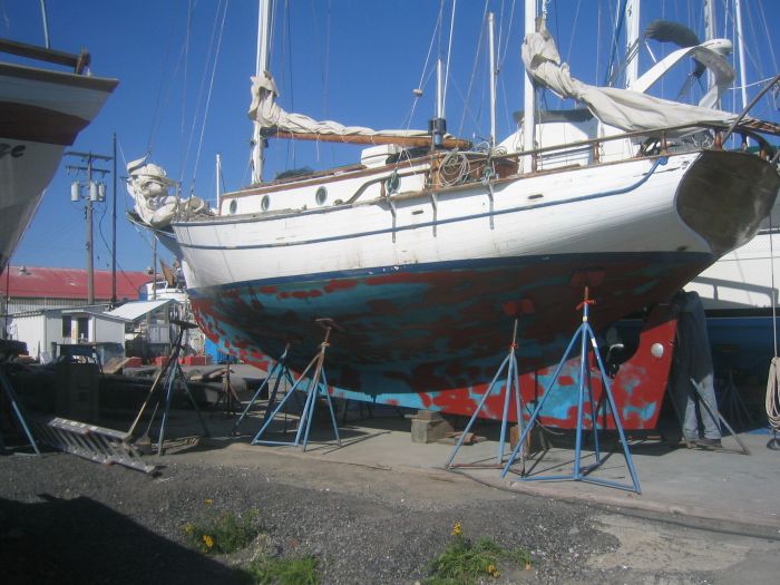 gal/New Boat/IMG_3814.jpg